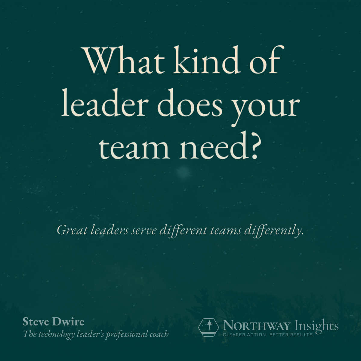 What kind of leader does your team need? Great leaders serve different teams differently.