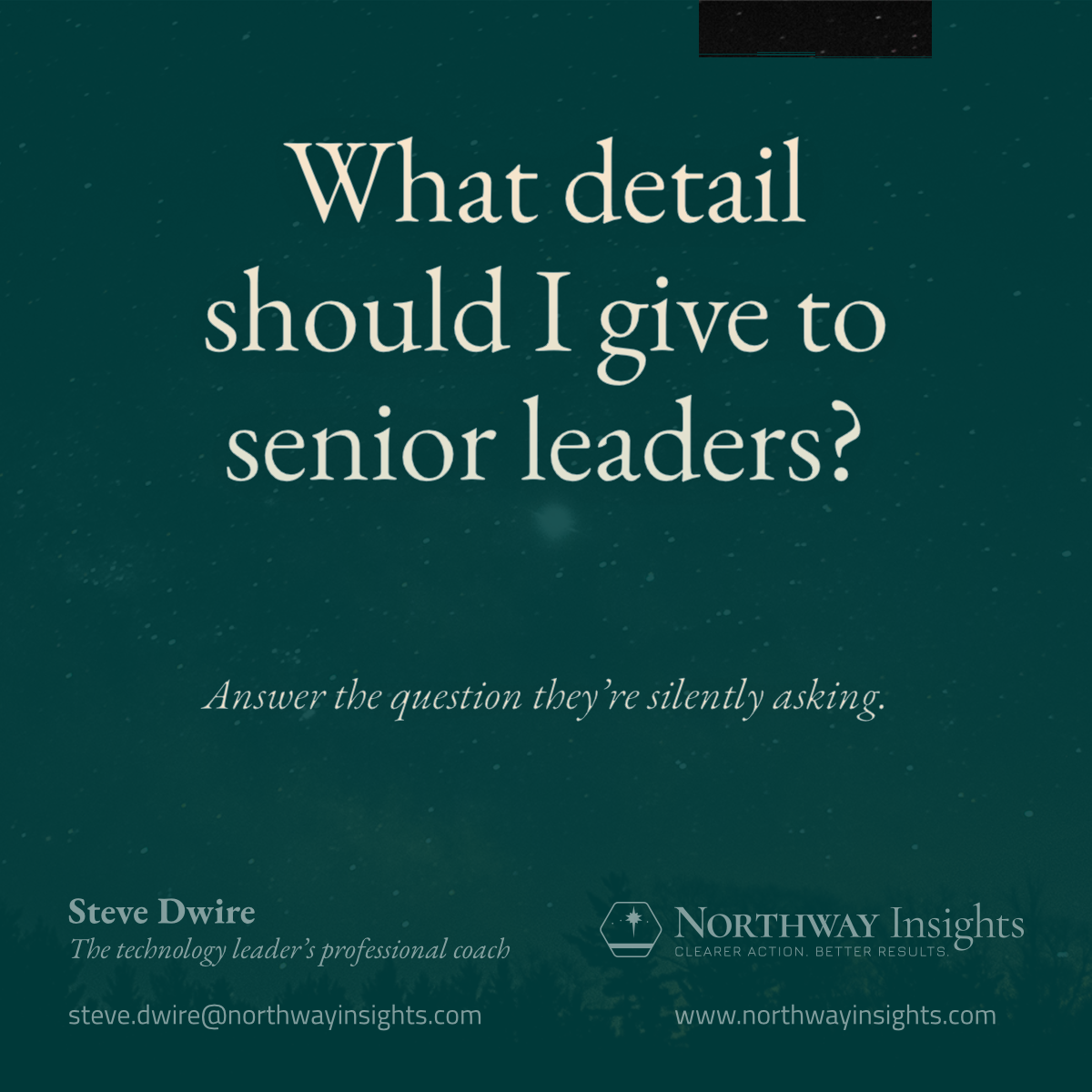 What detail should I give to senior leaders? (Answer the questions they're silently asking.)